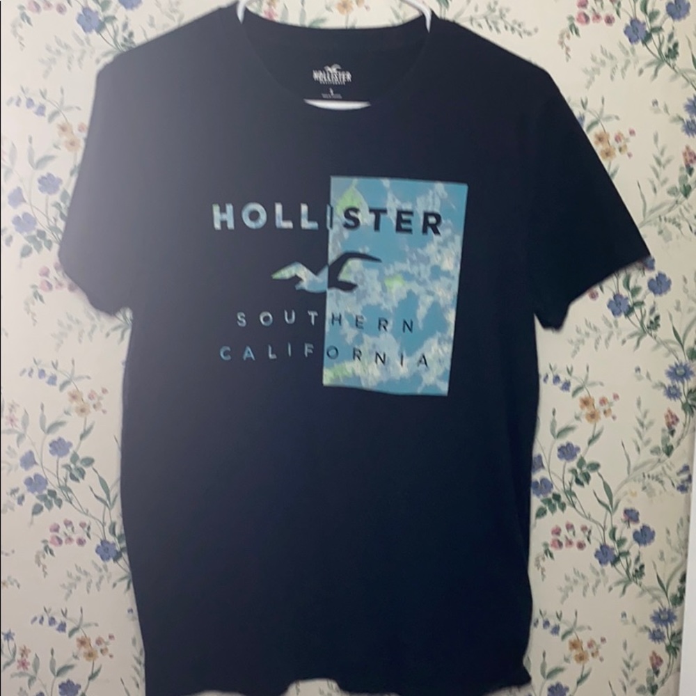 Nice brand name Hollister shirt.